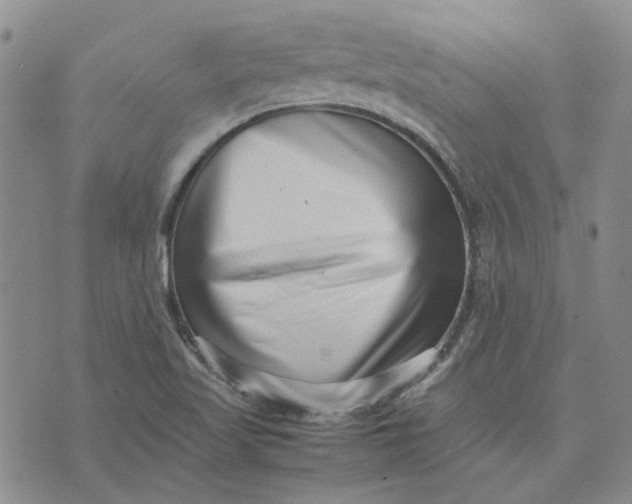 X0000075361509200609251049