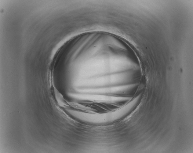 X0000075361510200609251049