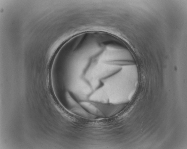 X0000075361511200609251049