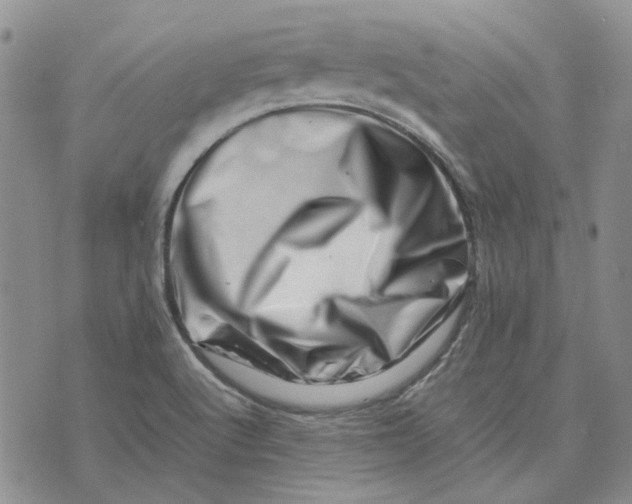 X0000075361512200609251049