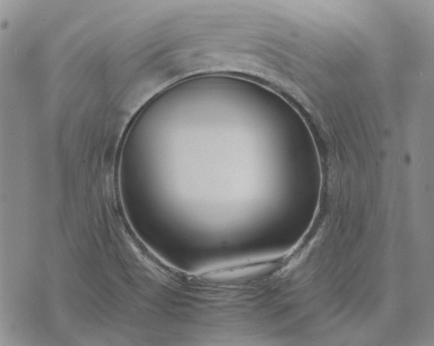 X0000075361513200609251049