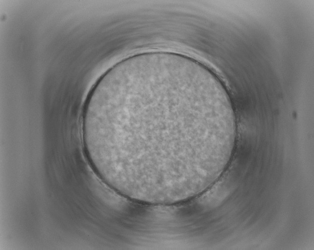 X0000075361514200609251049