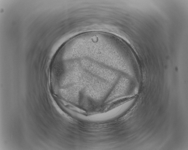 X0000075361515200609251049