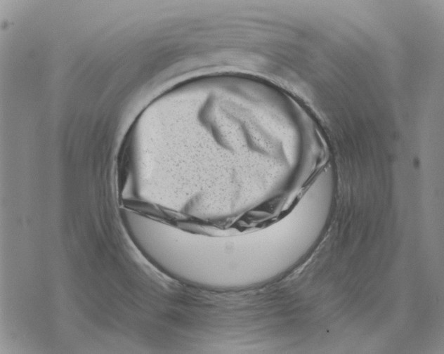 X0000075361516200609251049