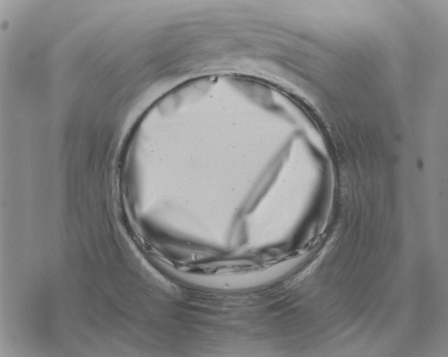 X0000075361517200609251049