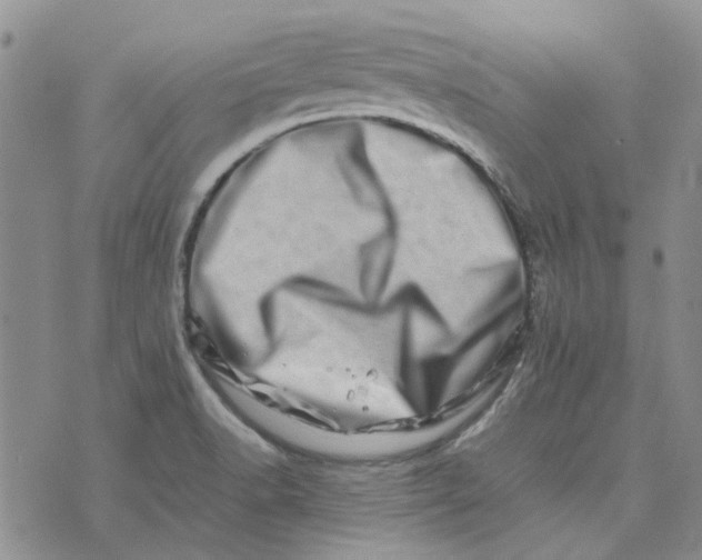 X0000075361518200609251049