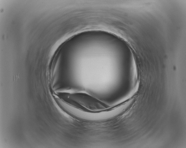 X0000075361519200609251049