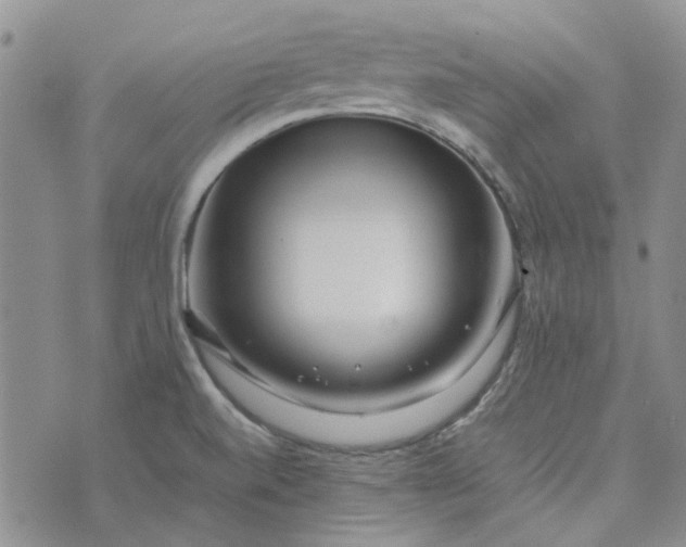 X0000075361520200609251049