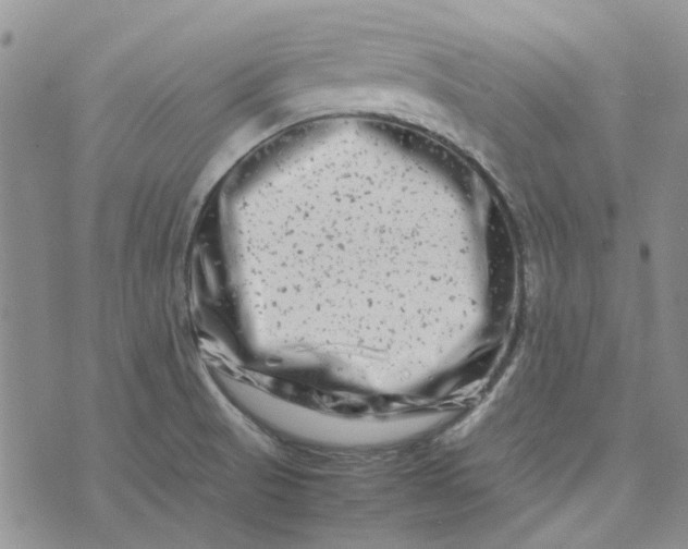 X0000075361521200609251049