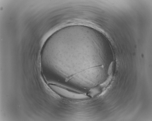 X0000075361522200609251049