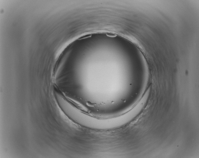 X0000075361524200609251049