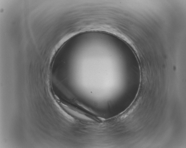 X0000075361525200609251049