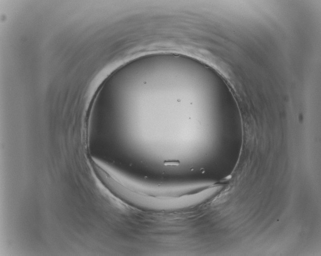 X0000075361527200609251049