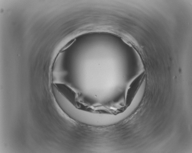 X0000075361528200609251049