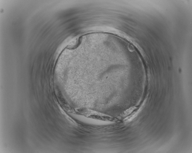 X0000075361529200609251049