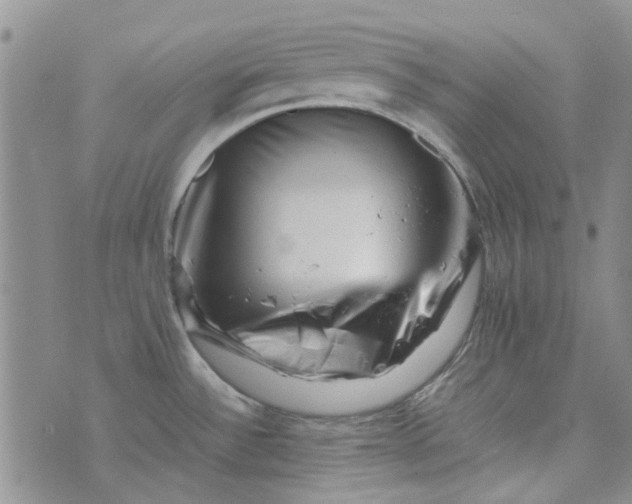 X0000075361532200609251049