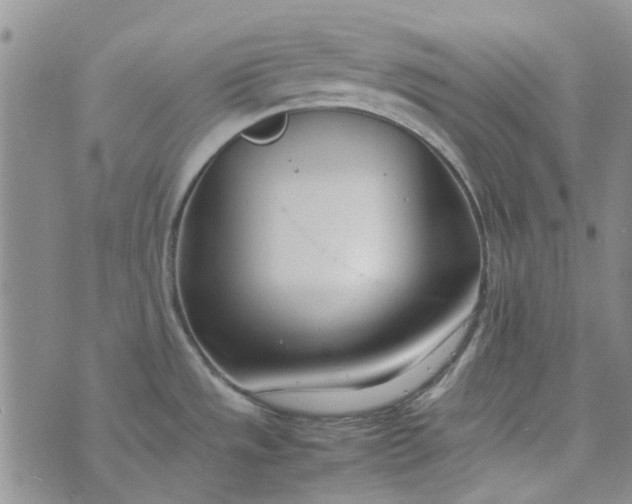 X0000075361533200609251049