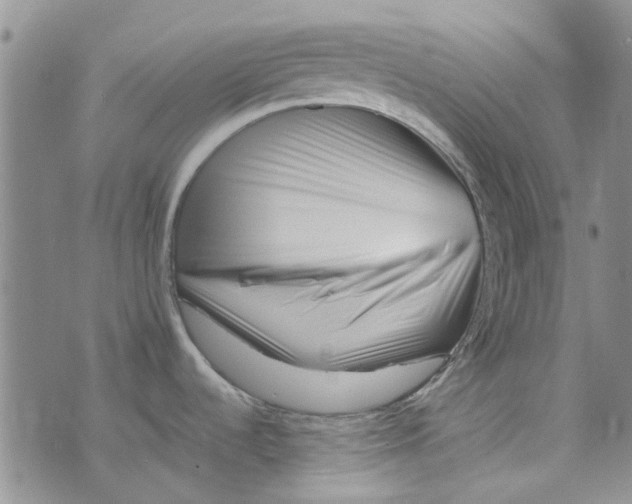 X0000075361536200609251049