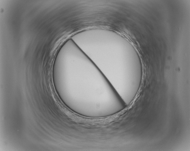 X0000075360001200609291512