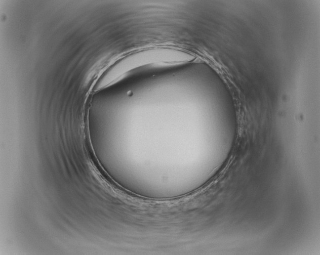 X0000075360002200609291512