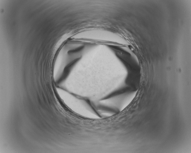 X0000075360003200609291512