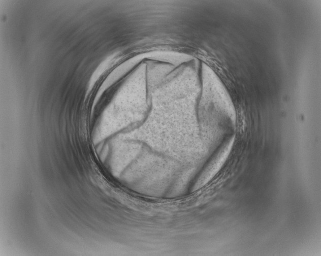 X0000075360004200609291512