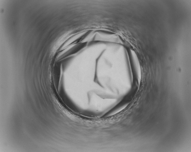 X0000075360005200609291512