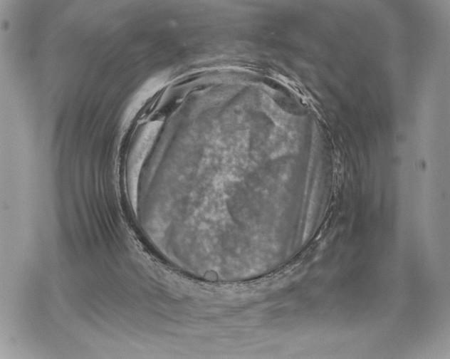 X0000075360006200609291512