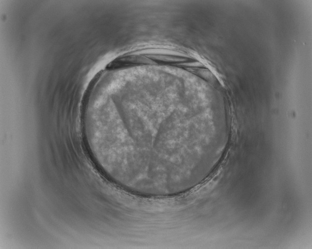 X0000075360008200609291512