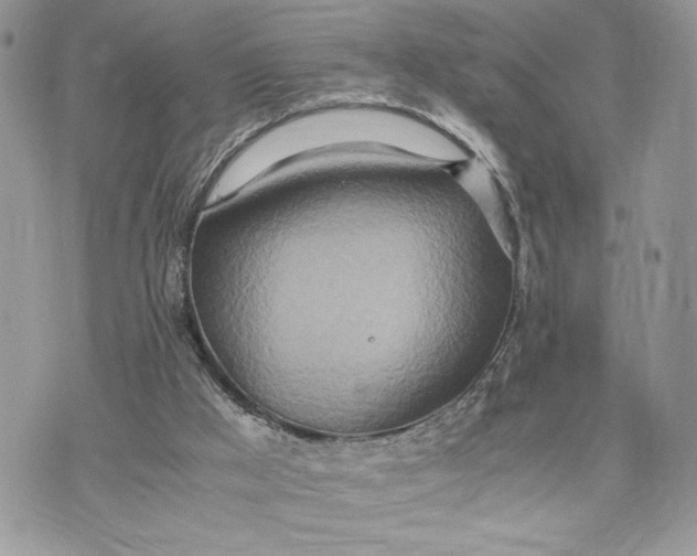 X0000075360009200609291512