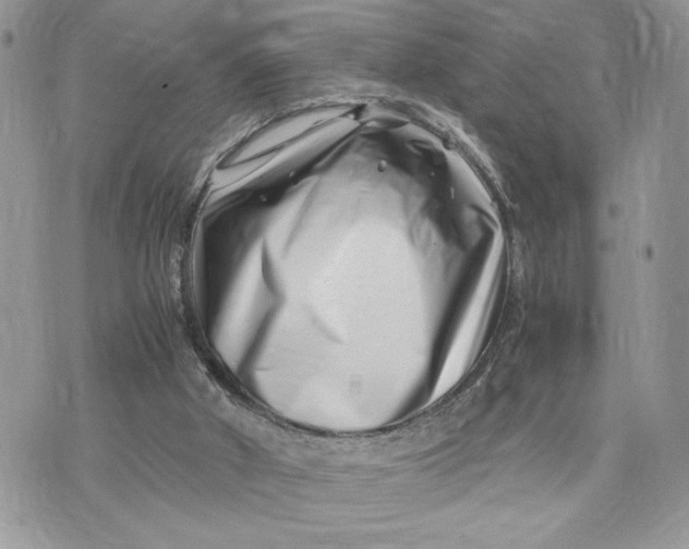 X0000075360010200609291512