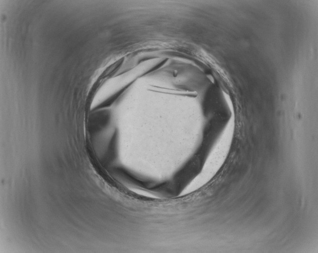 X0000075360011200609291512