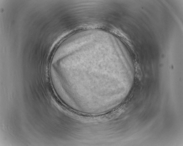 X0000075360012200609291512