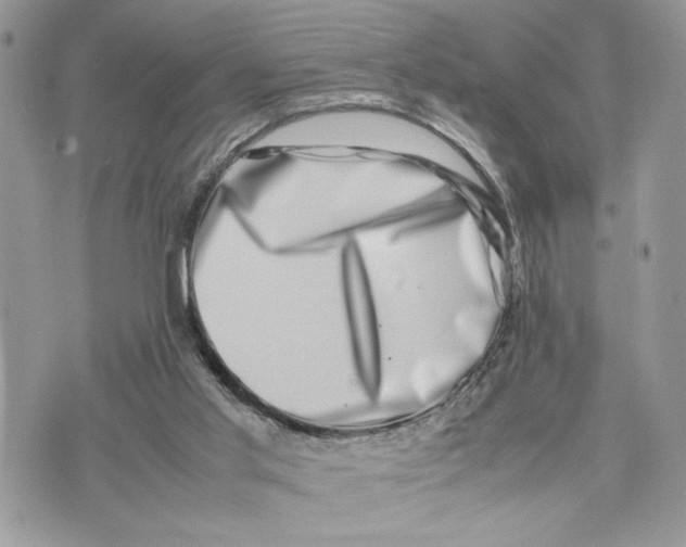 X0000075360013200609291512