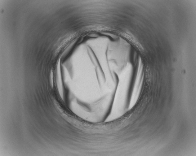 X0000075360014200609291512