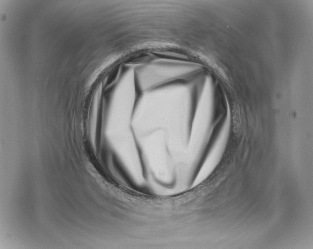 X0000075360015200609291512