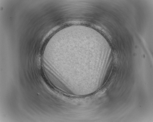 X0000075360016200609291512