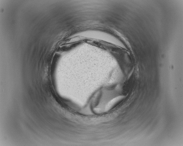 X0000075360018200609291512