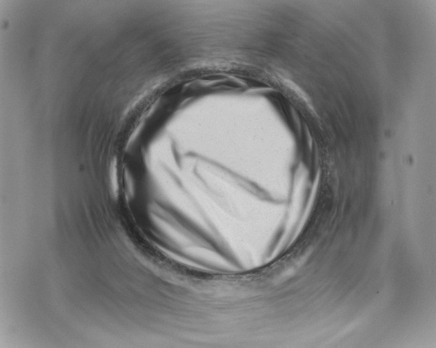 X0000075360020200609291512