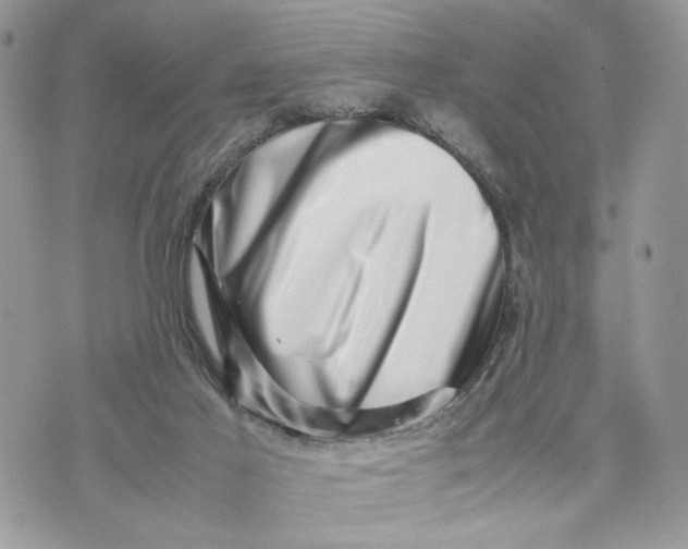 X0000075360021200609291512