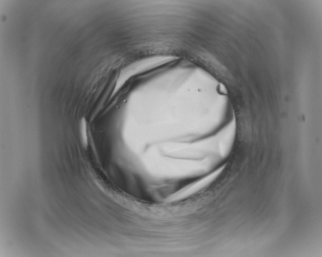 X0000075360022200609291512