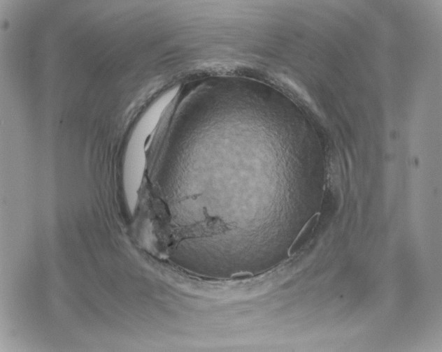 X0000075360023200609291512