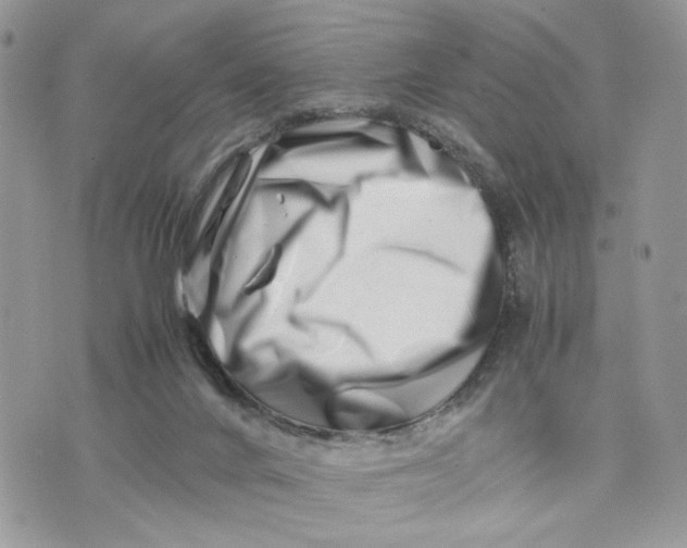 X0000075360024200609291512