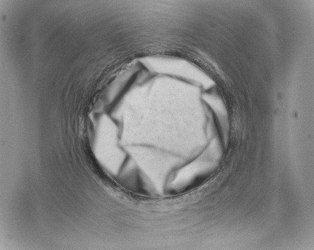 X0000075360025200609291512