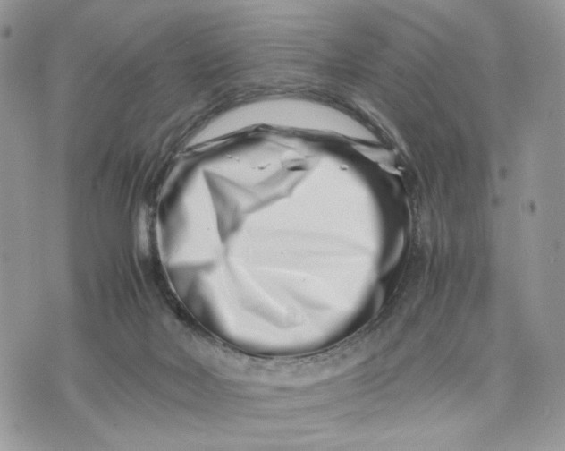 X0000075360026200609291512