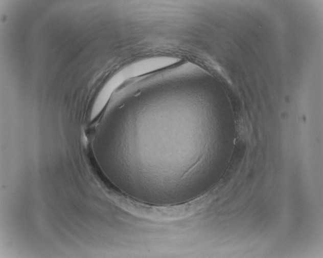 X0000075360027200609291512