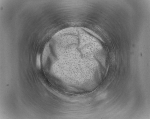 X0000075360028200609291512