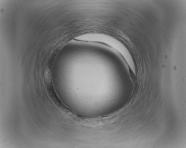 X0000075360029200609291512