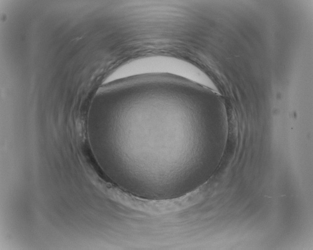 X0000075360031200609291512