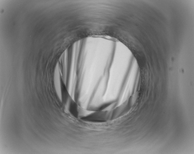 X0000075360033200609291512